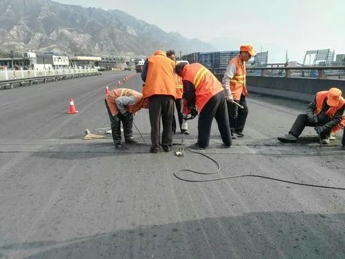 望奎道路桥梁病害治理